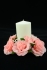 Peach Candle Ring For Pillar Candle (Lot of 1) SALE ITEM